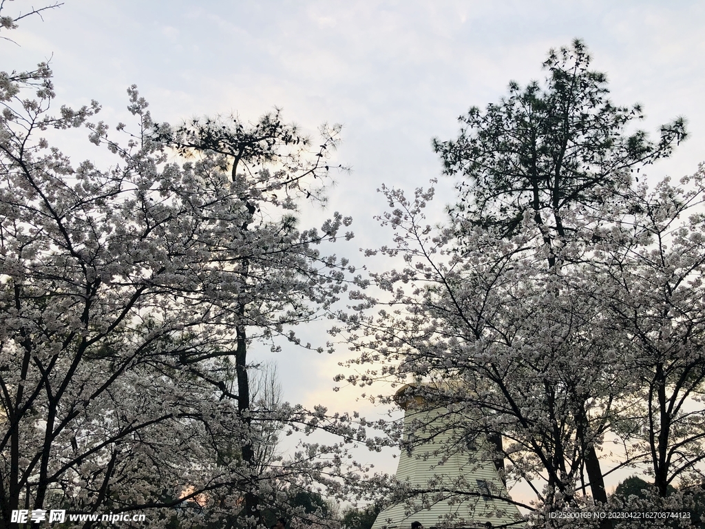 太子灣公園
