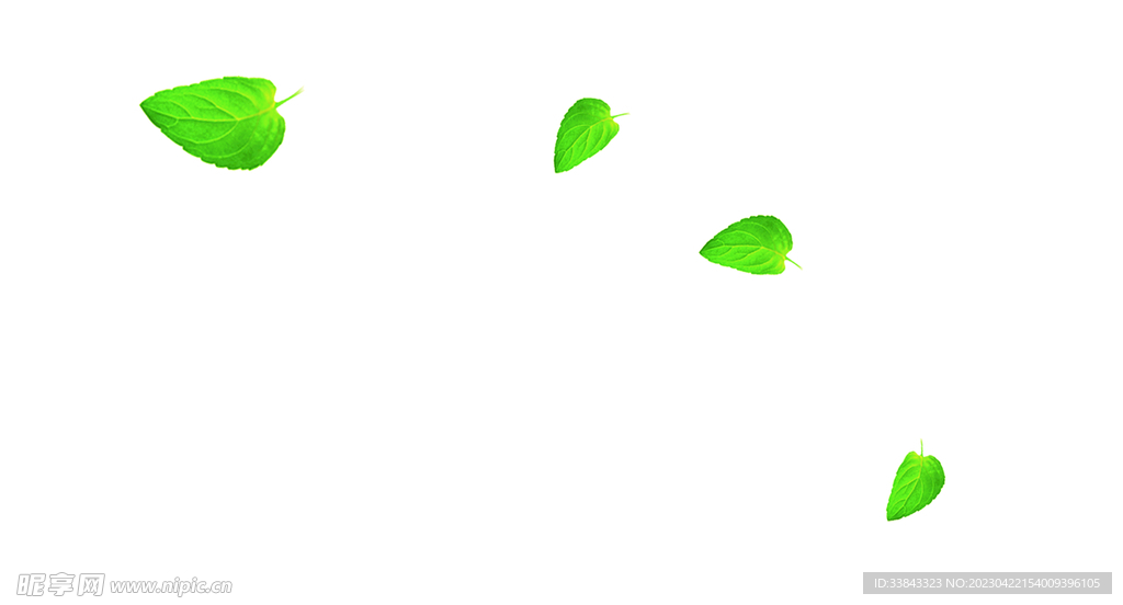 樹葉