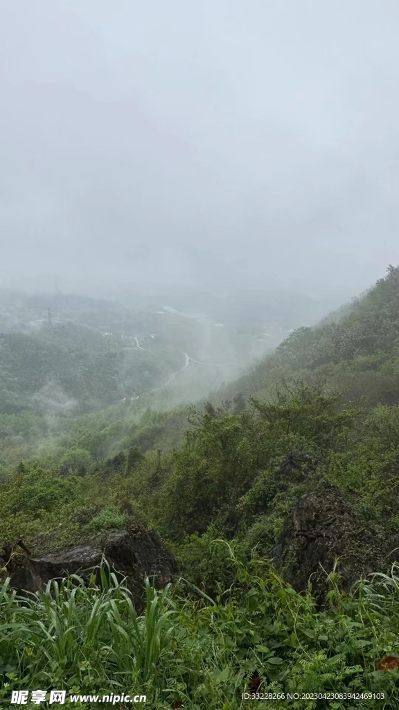 山霧