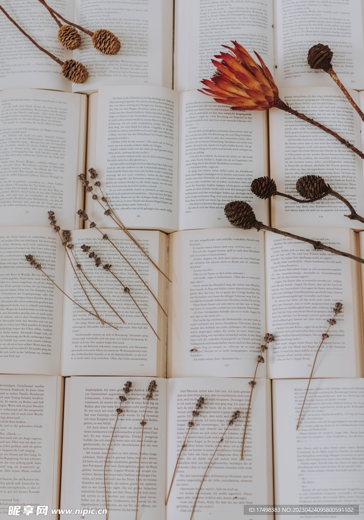 打開的書