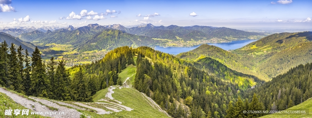  山林