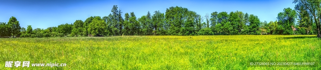 藍天綠地