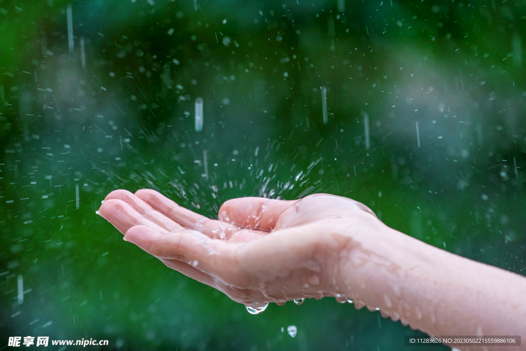 手接雨水