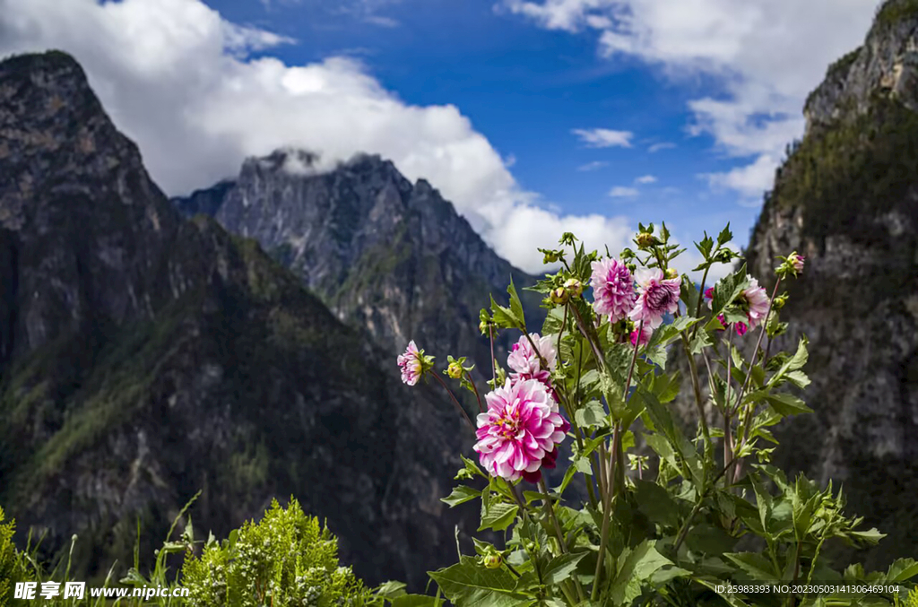 山區旅游