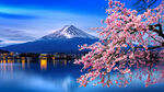 樱花富士山 