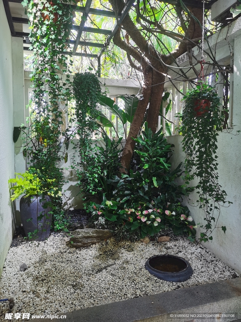 角落花園