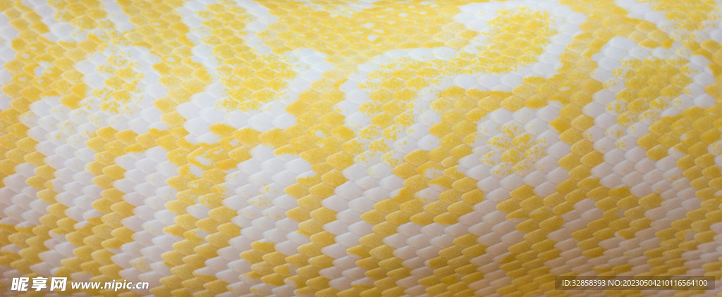 金黄色蛇皮纹理背景
