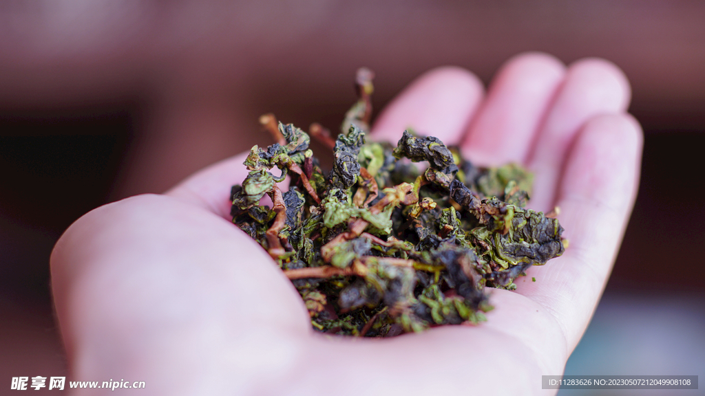 烏龍茶