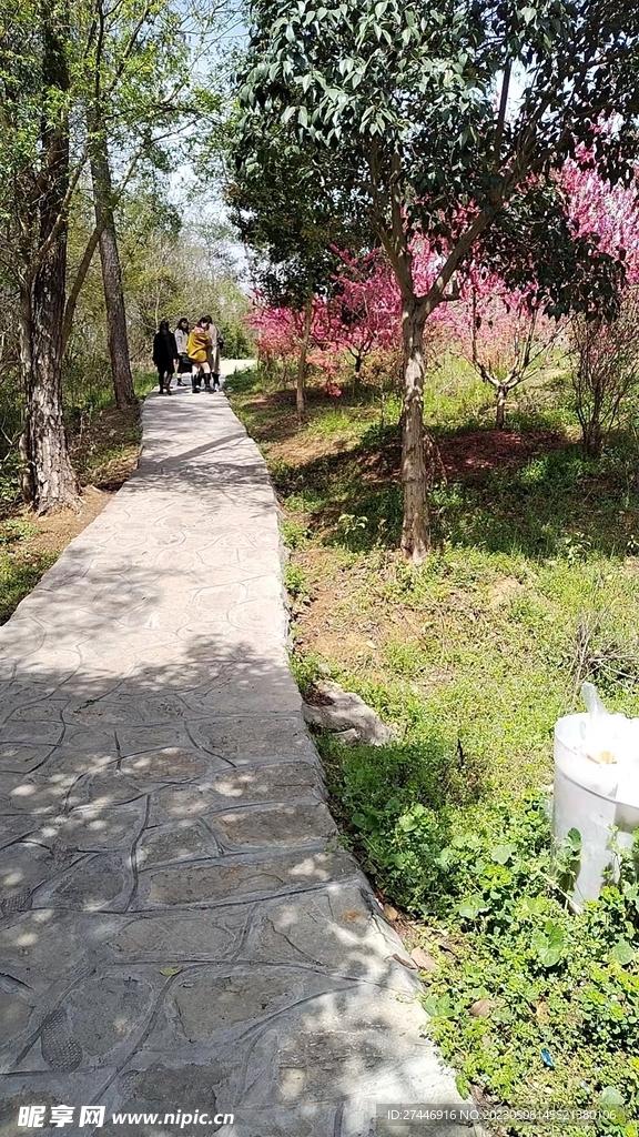 公園石頭路