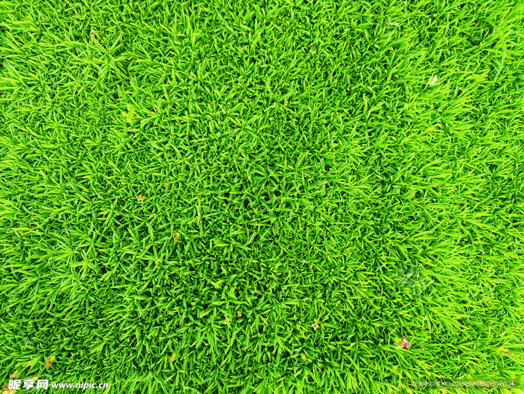 绿植草皮贴图