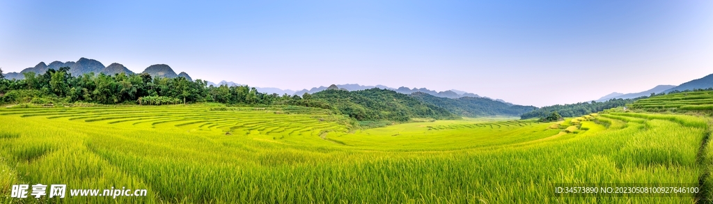 锦绣田园