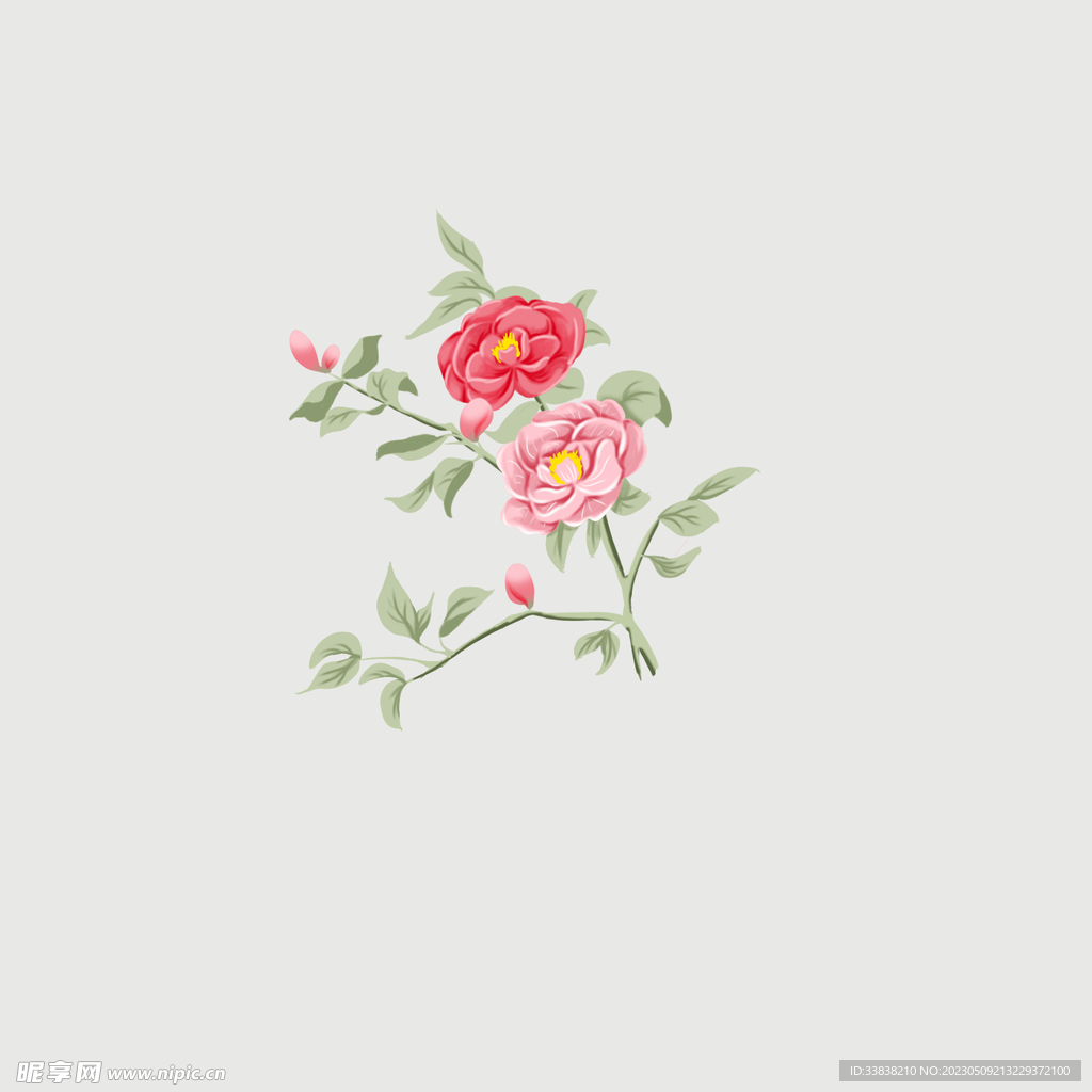 山茶花 