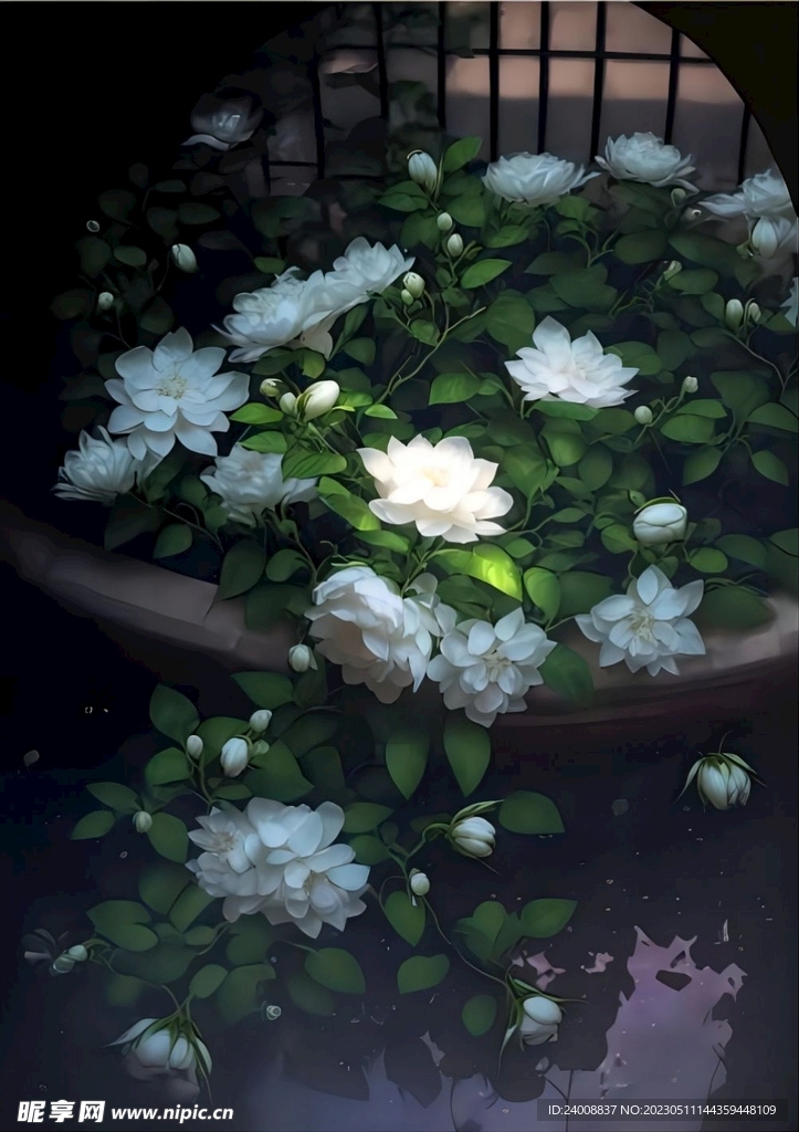 白色蓮花