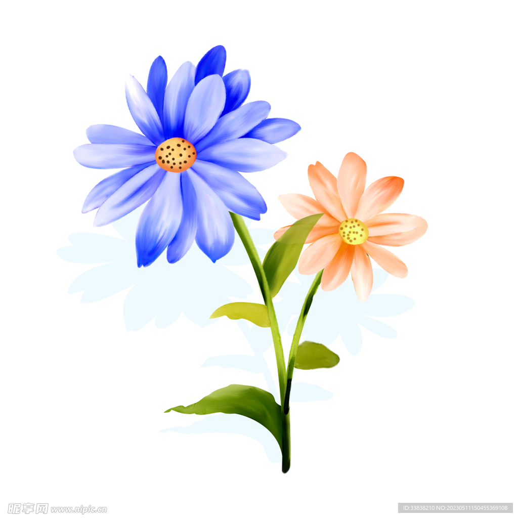 花卉