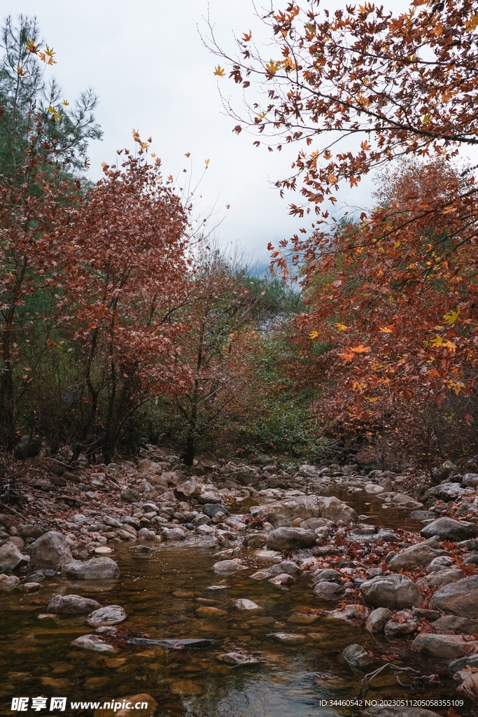 秋季景觀