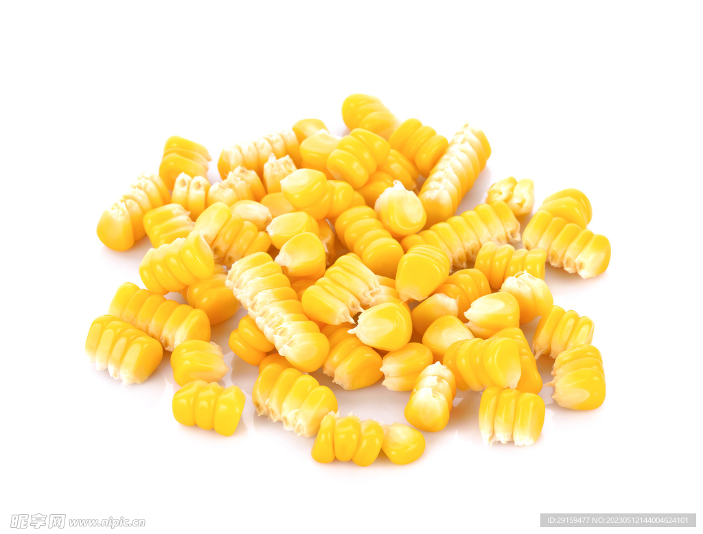玉米粒