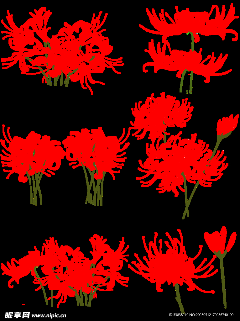 彼岸花