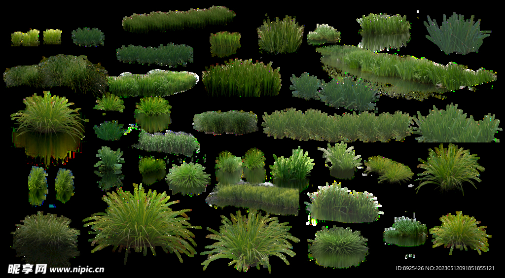 水草