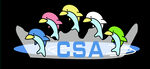 海豚CSA