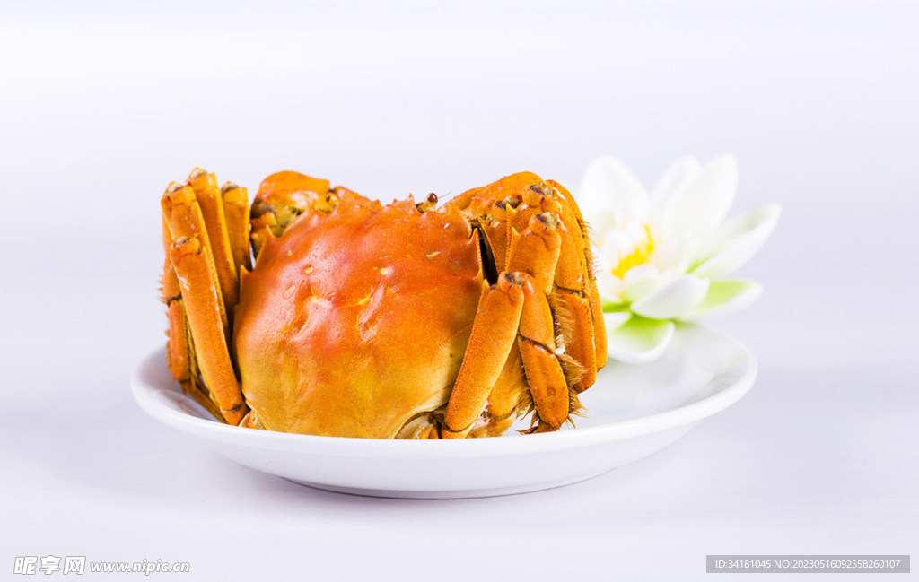 大閘蟹美食