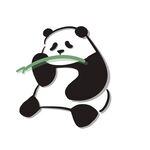 吃竹子的熊猫 