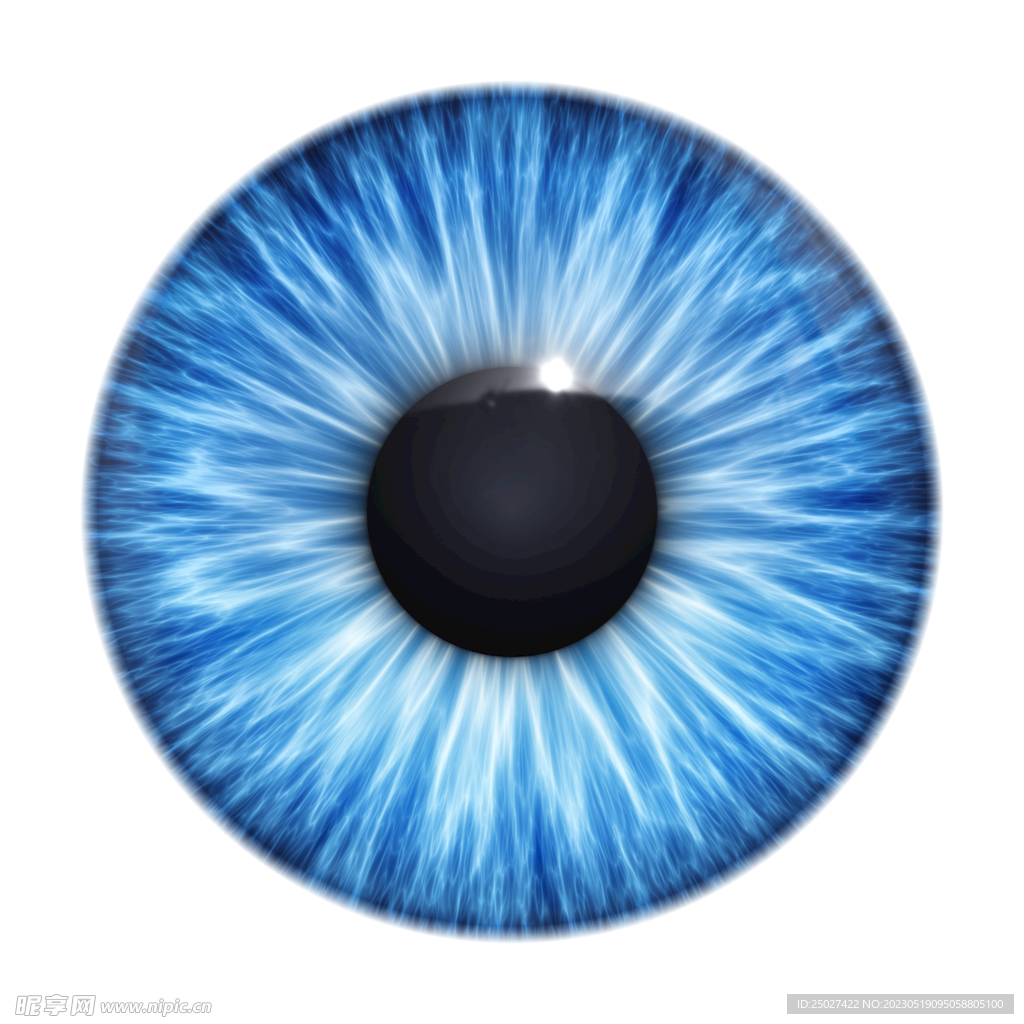 眼球瞳孔