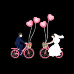 新人情侣骑自行车 结婚素材 