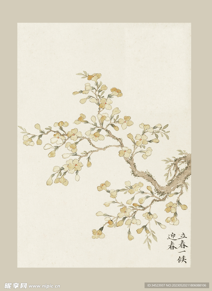 傳統(tǒng)節(jié)氣花卉