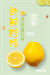 柠檬水果海报