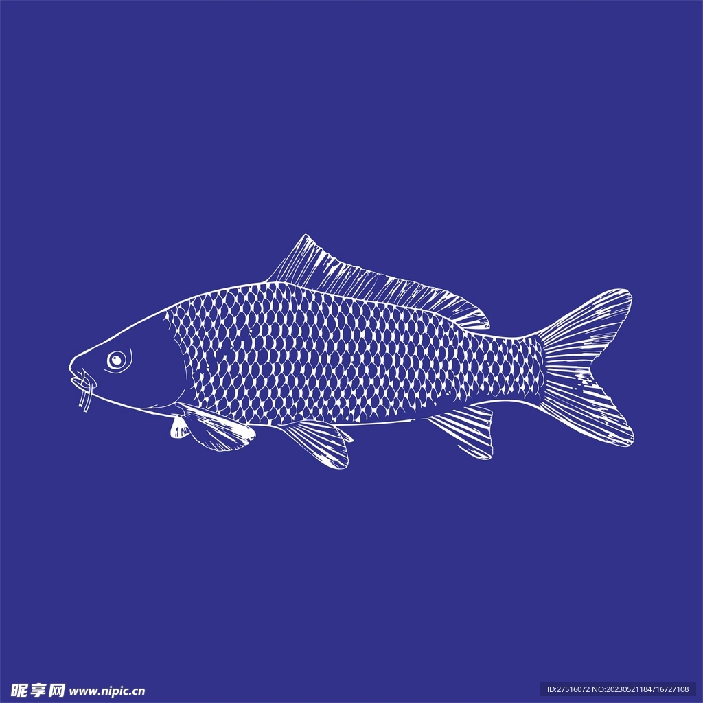 矢量魚 手繪魚