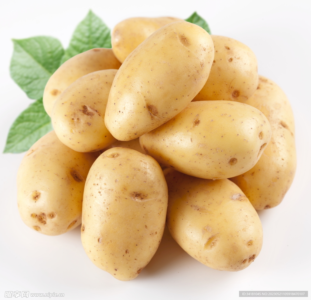 土豆圖片