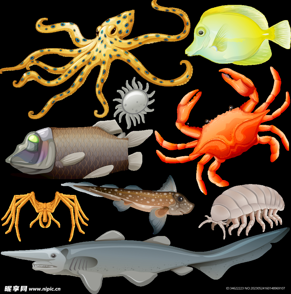 海洋動物