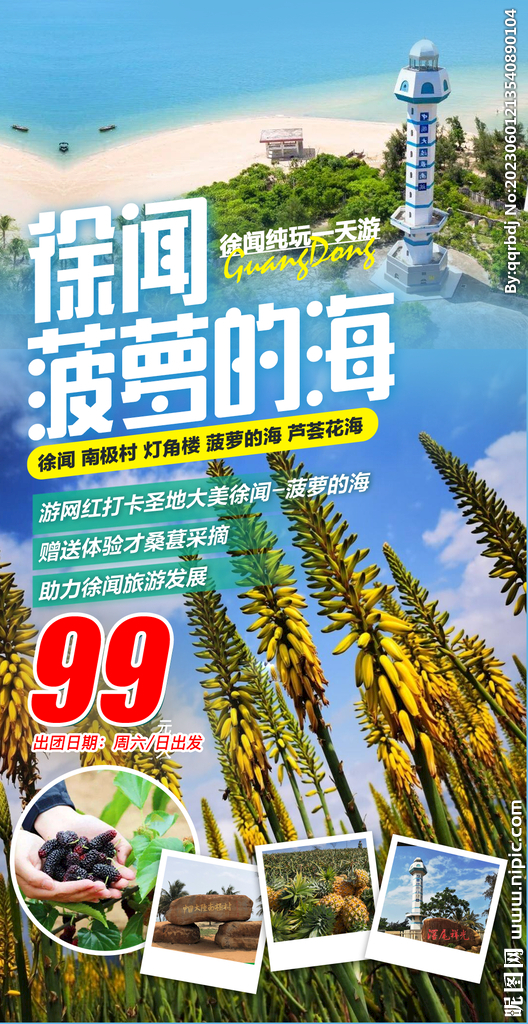 广东湛江徐闻菠萝的海旅游海报
