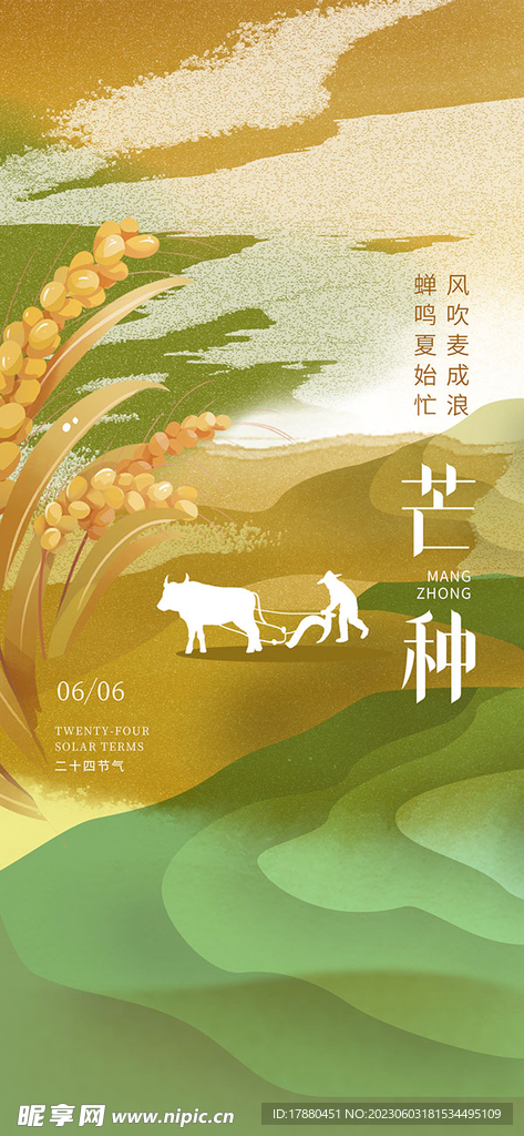 創意芒種節氣海報