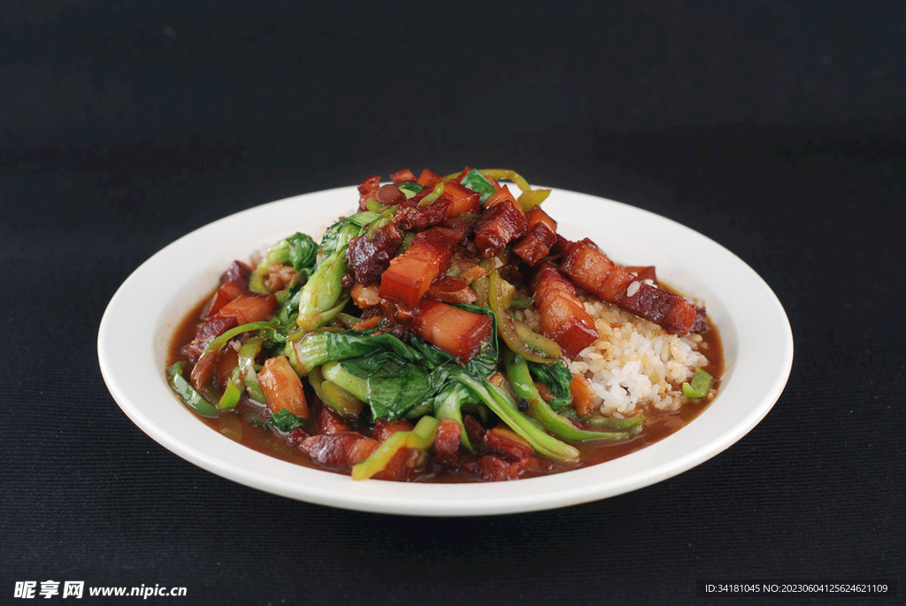 鹵肉飯美食