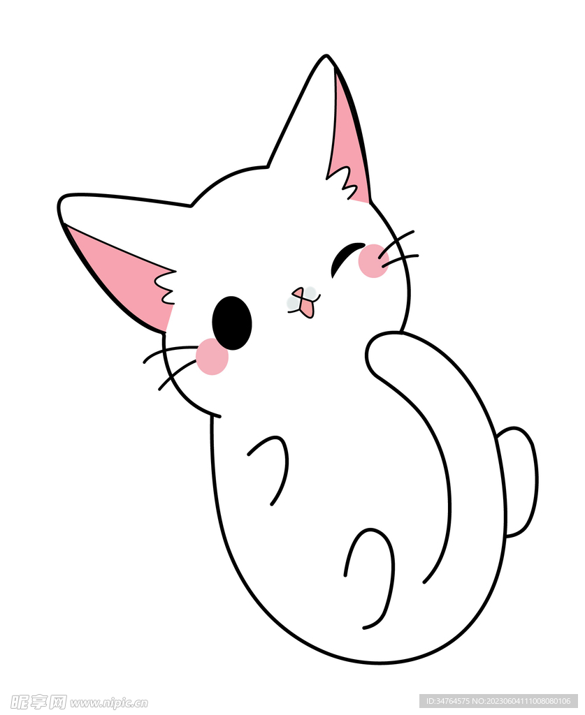 貓咪