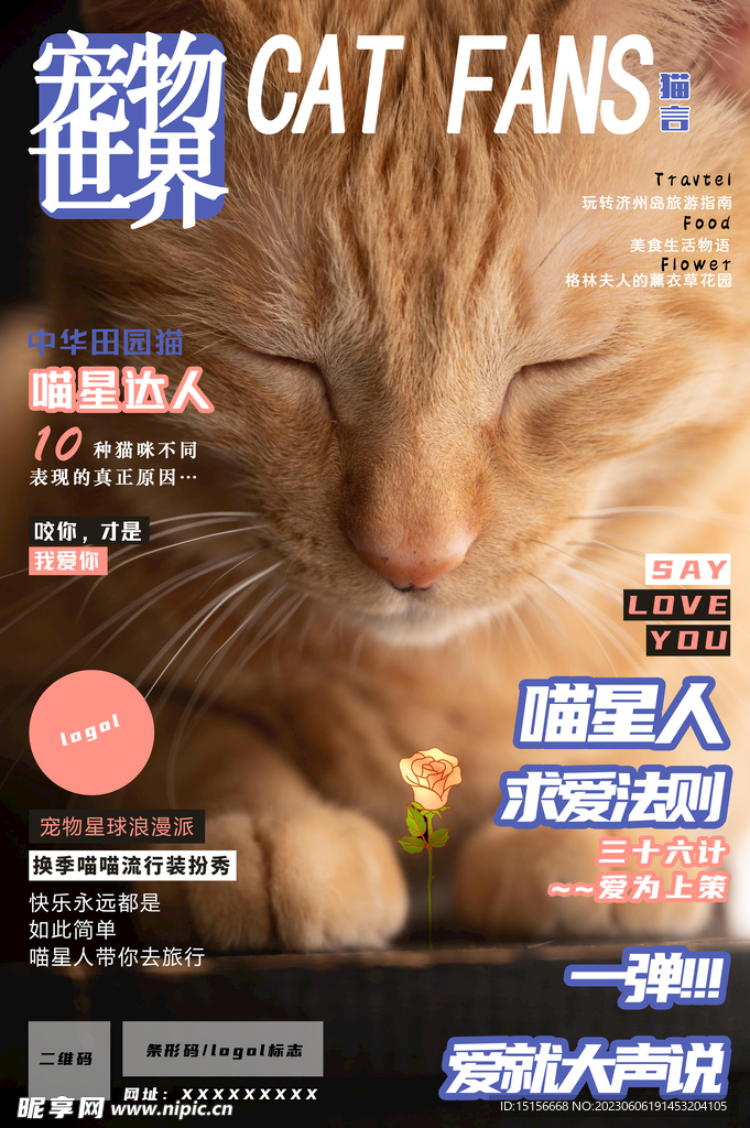 猫咪宠物唯美杂志封面海报