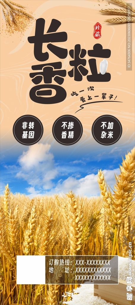 大米展架海報