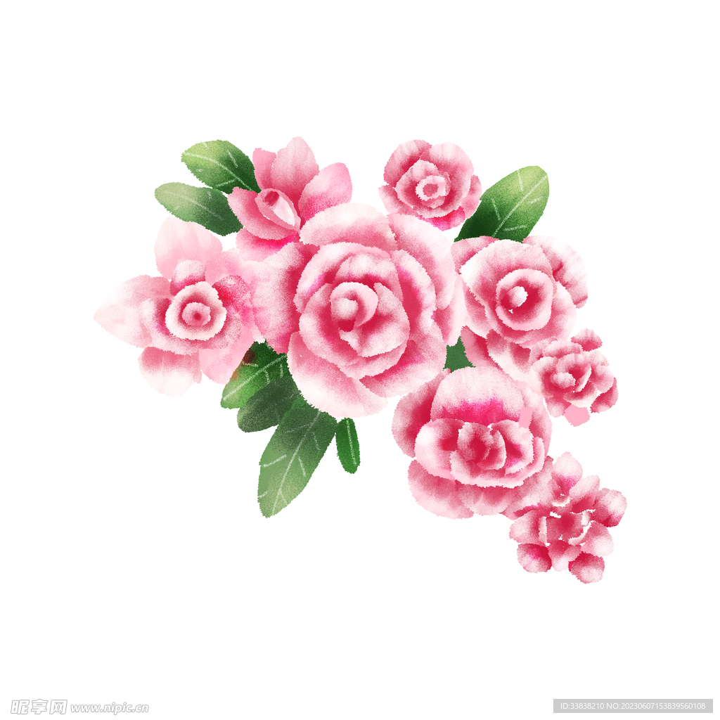 花卉