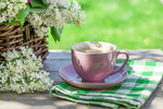 咖啡杯和花园桌上五颜六色的丁香