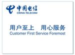 中国电信背景墙   