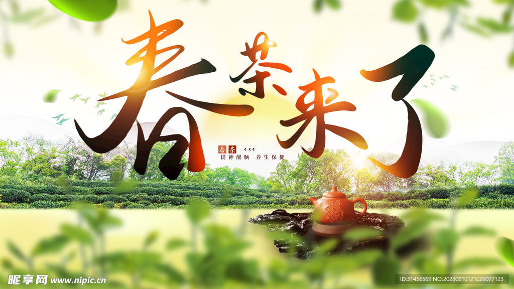 春茶