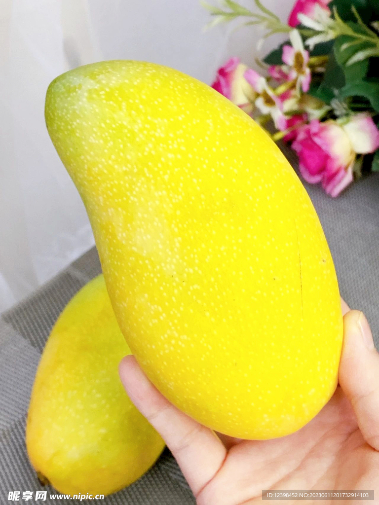 金輝芒