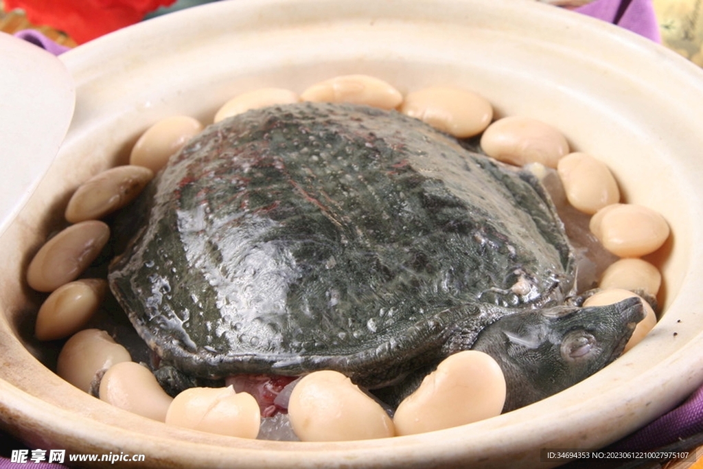 悶甲魚美食