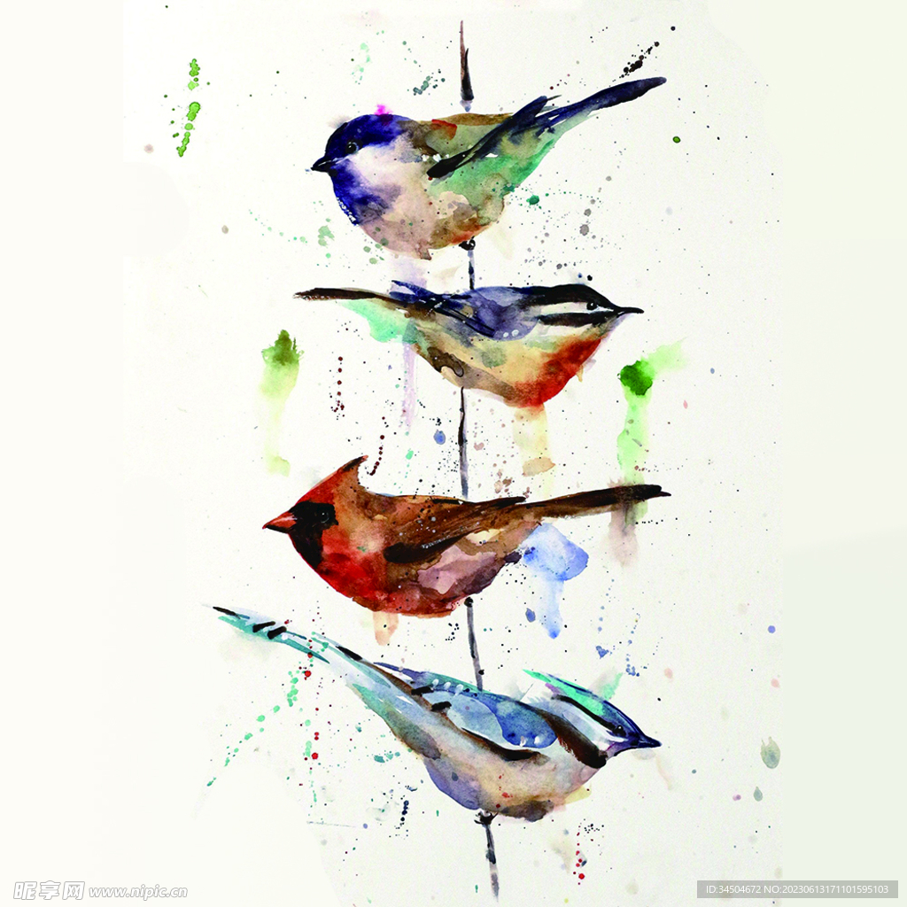 手繪 鳥