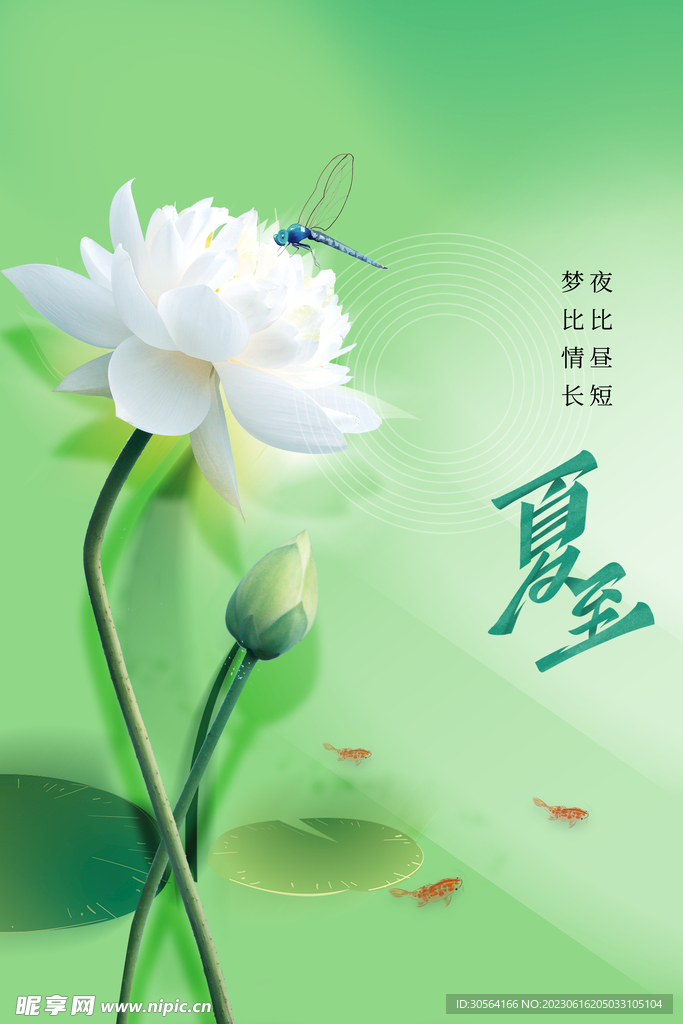 夏至