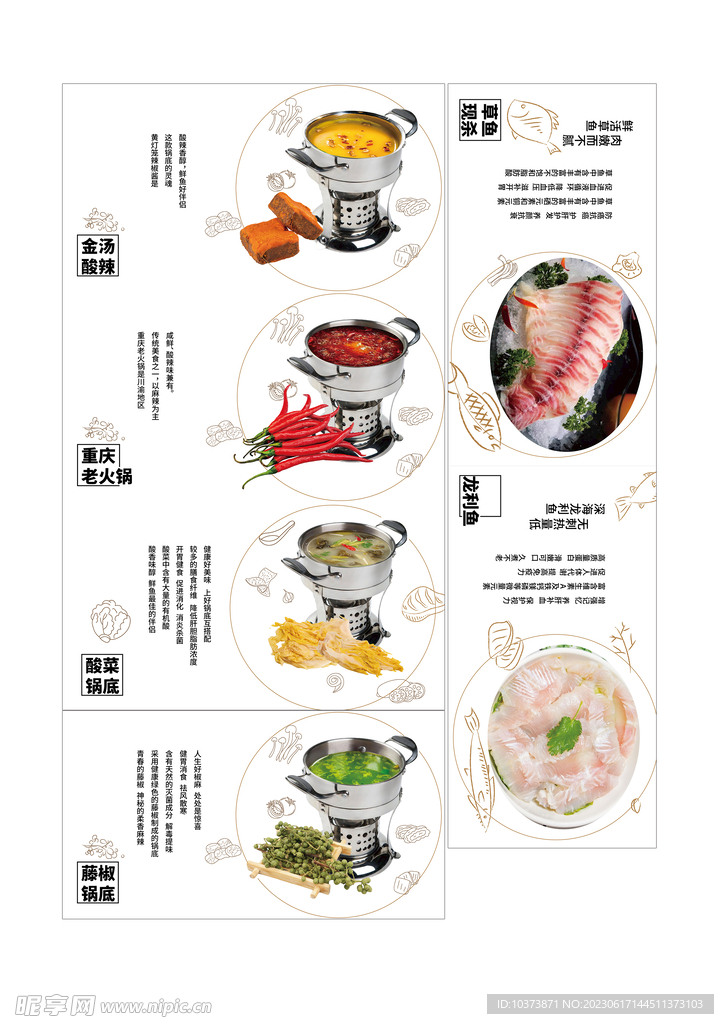魚(yú)