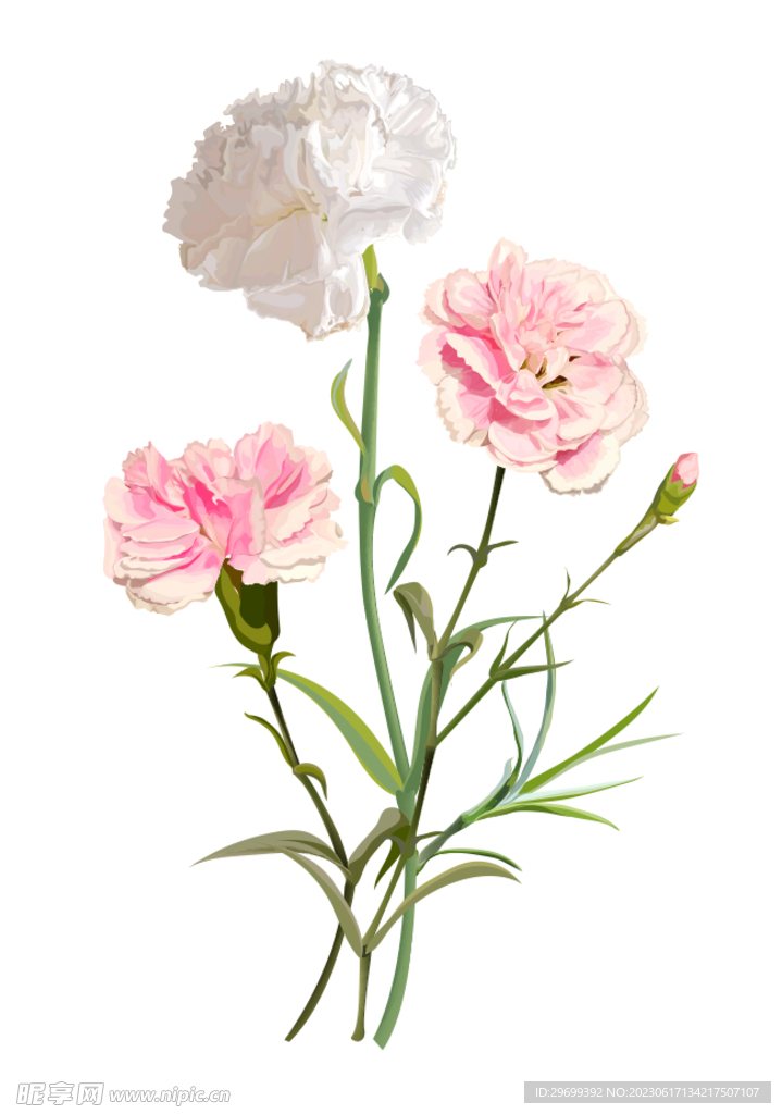 手繪花卉