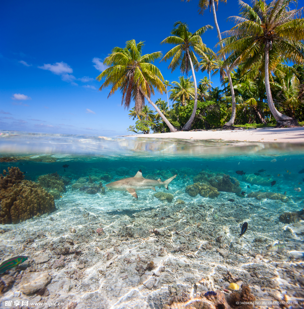 海灘旅游