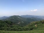 茶山